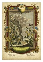 Genesis Fruits I Fine Art Print