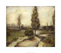Misty Morning II Framed Print