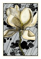 Patterned Magnolia I Fine Art Print