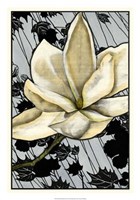 Patterned Magnolia II Fine Art Print