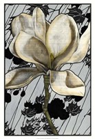 Patterned Magnolia I Fine Art Print