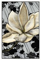 Patterned Magnolia II Fine Art Print