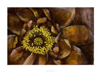 Floral Illusion I Framed Print