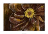 Floral Illusion II Framed Print