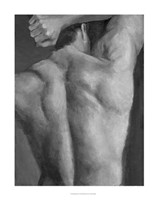 Male Nude II Framed Print