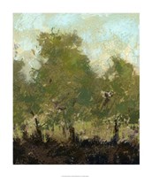 Meadow Abstract I Framed Print
