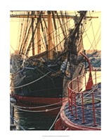 Tall Ships in Darling Harbour Fine Art Print