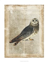 Antiquarian Birds I Fine Art Print