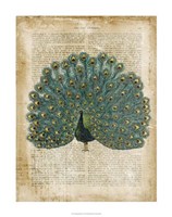Antiquarian Birds V Fine Art Print