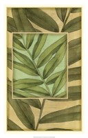 Palm Inset Composition II Framed Print