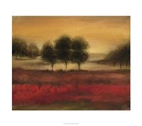 McIntire Grove II Fine Art Print