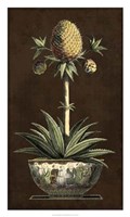 Potted Pineapple I Fine Art Print