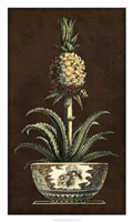 Potted Pineapple II Fine Art Print