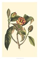 Flourishing Foliage I Fine Art Print