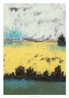 Hedges I Fine Art Print