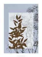 Translucent Wildflowers V Fine Art Print