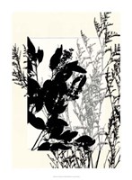 Translucent Wildflowers IX Fine Art Print