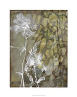 Dusty Garden II Framed Print