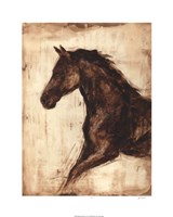 Weathered Equestrian I Framed Print