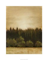 Treeline Sunset I Fine Art Print