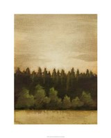 Treeline Sunset II Fine Art Print