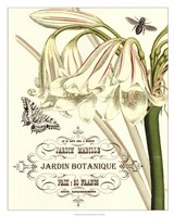 Jardin Botanique I Fine Art Print