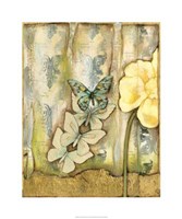 Garden Metamorphosis II Framed Print