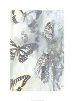 Flutter I Framed Print