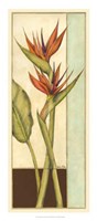 Tropicana Botanical II Framed Print