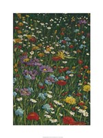 Bright Wildflower Field II Fine Art Print