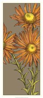 Graphic Flower Panel I by Jennifer Goldberger - 15" x 33"