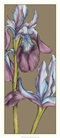 Graphic Flower Panel III Fine Art Print