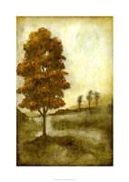 Sunset Solitude II Framed Print