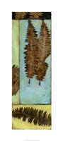Fossilized Ferns I by Jennifer Goldberger - 16" x 36"