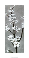 White Blossoms I Framed Print