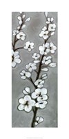 White Blossoms II Fine Art Print