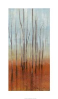 Birch Forest I Fine Art Print