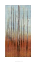 Birch Forest II Fine Art Print