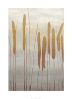 Reeds and Leaves I Framed Print