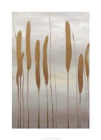 Reeds and Leaves II Fine Art Print