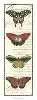 Butterfly Prose Panel I Framed Print