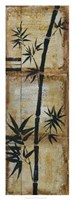 Patinaed Bamboo II Fine Art Print
