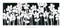 White Flowers on Black II Fine Art Print