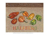 Habanero Fine Art Print