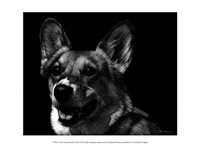 Canine Scratchboard XXIX Fine Art Print