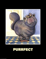 Purrfect Fine Art Print