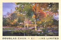 Birch Pond by Douglas Chun - 36" x 24"