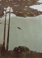 Canopy Fine Art Print