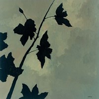 Blossoms I Fine Art Print