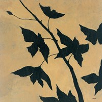 Blossoms II Fine Art Print